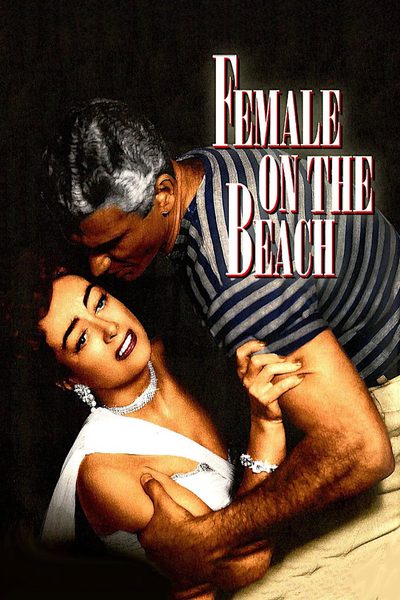 Female on the Beach poster