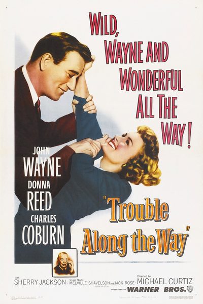 Trouble Along the Way poster