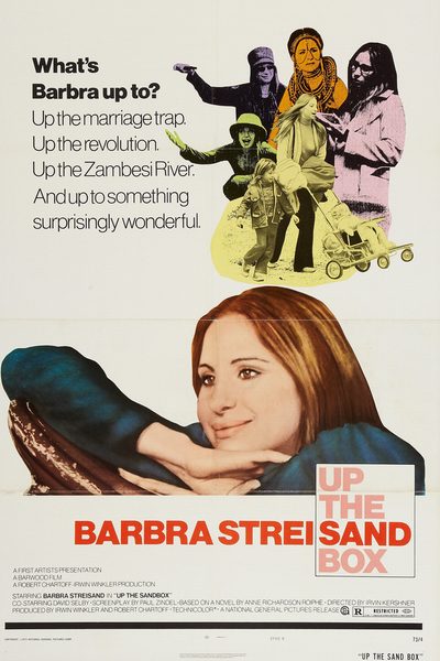 Up the Sandbox poster