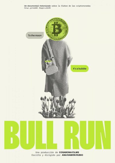 Bull Run poster