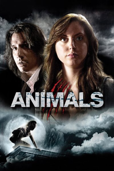 Animals poster