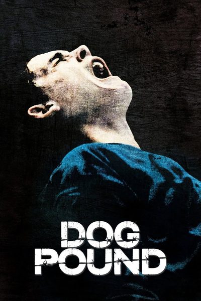 Dog Pound poster