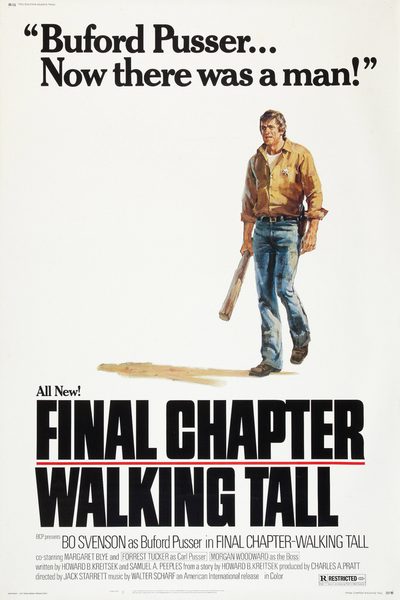 Final Chapter: Walking Tall poster