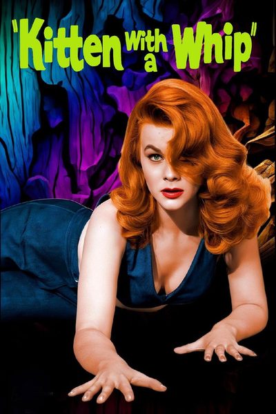 Kitten with a Whip poster