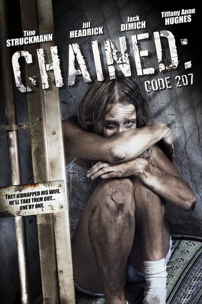 Code 207 poster