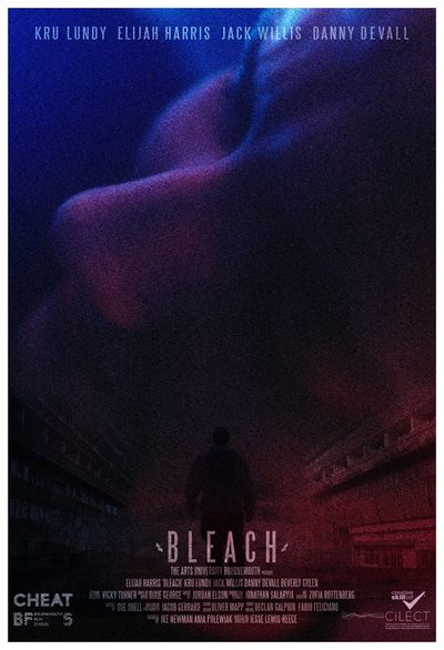 Bleach poster