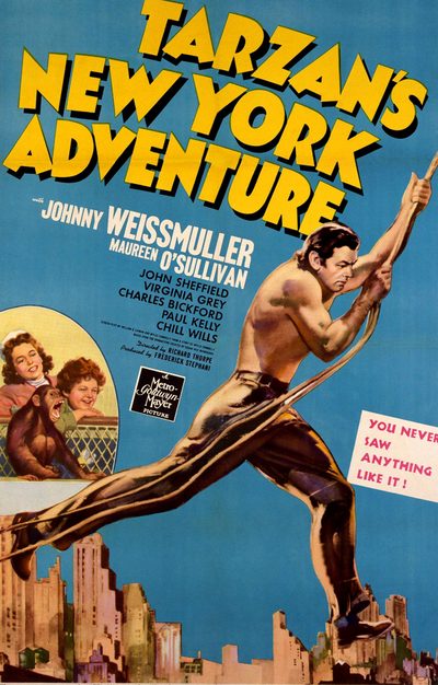 Tarzan's New York Adventure poster