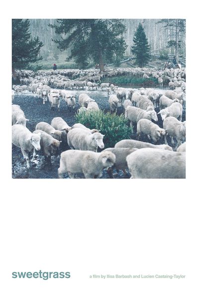 Sweetgrass poster