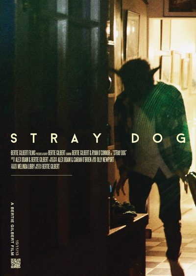 Stray Dog poster