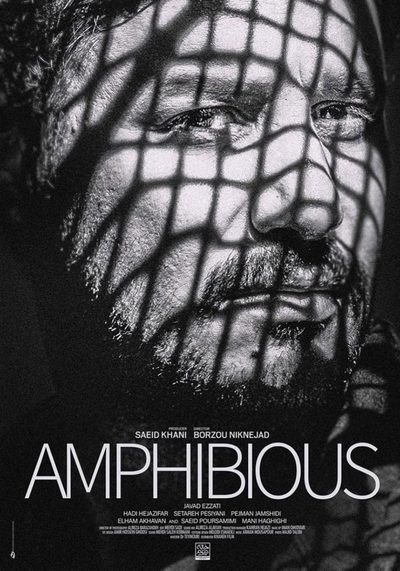 Amphibious poster