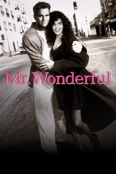 Mr. Wonderful poster