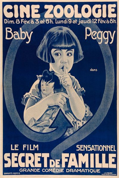 The Family Secret poster