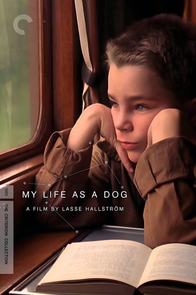 My Life as a Dog poster