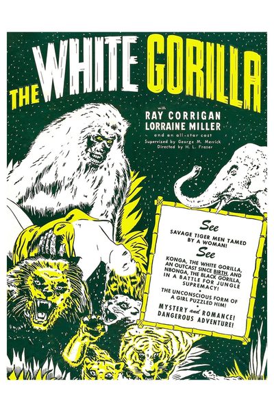 The White Gorilla poster
