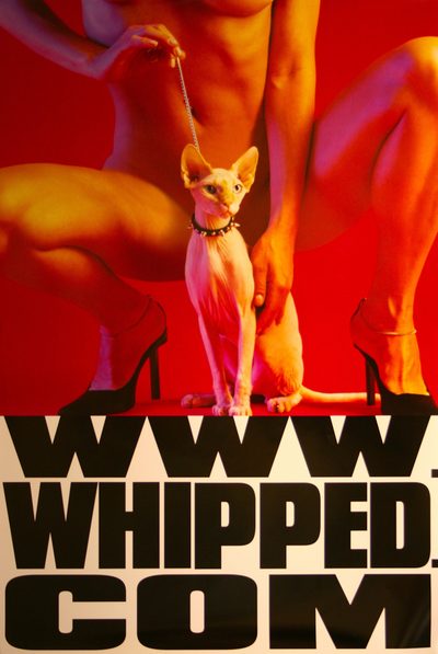 Whipped poster