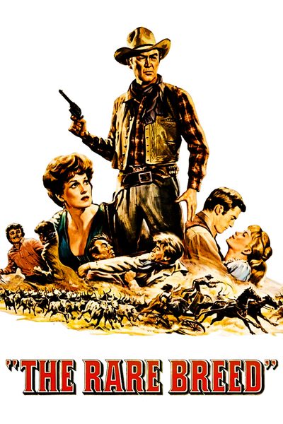 The Rare Breed poster
