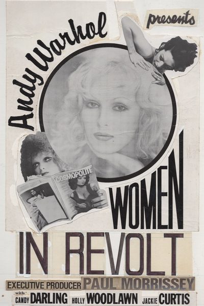 Women in Revolt poster