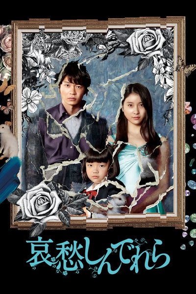 The Cinderella Addiction poster