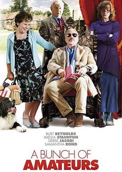 A Bunch of Amateurs poster
