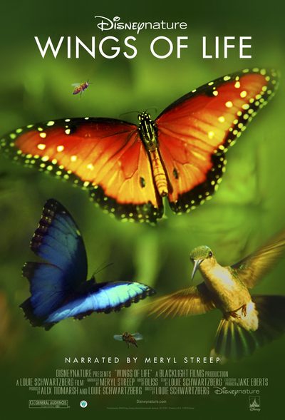 Wings of Life poster