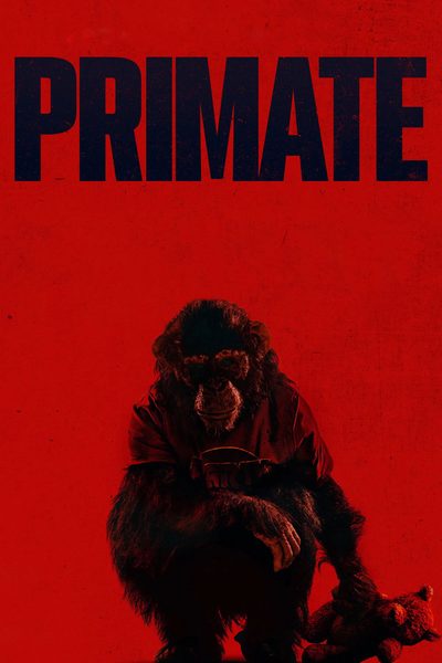 Primate poster