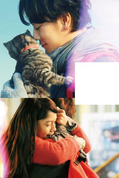 If Cats Disappeared from the World poster