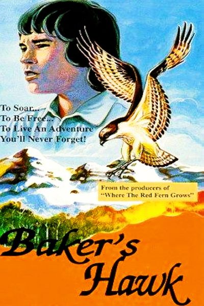 Baker's Hawk poster