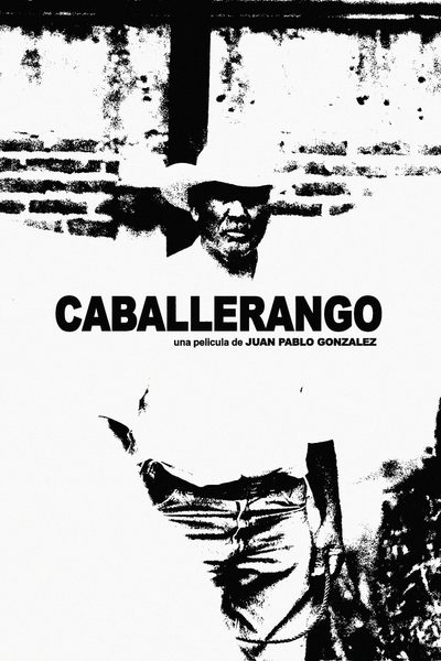 Horse Wrangler poster