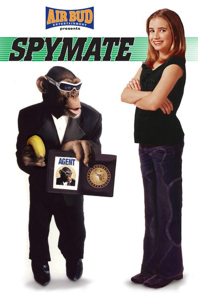 Spymate poster