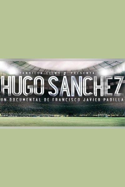 Hugoool! poster