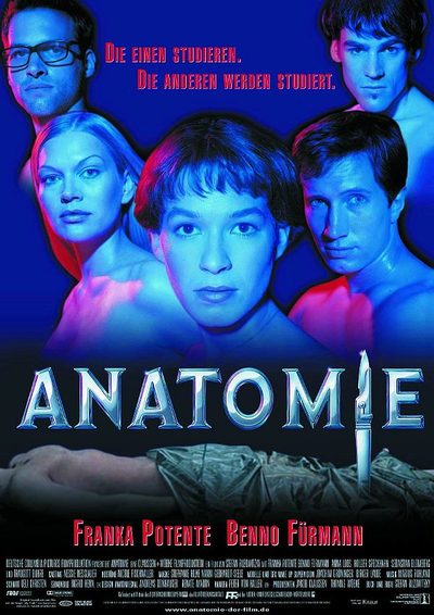 Anatomy poster