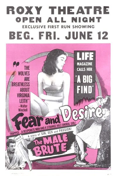 Fear and Desire poster