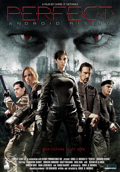 Perfect: Android Rising poster