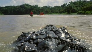 Killer Crocodile 2 still 1
