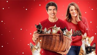 The Nine Kittens of Christmas still 2