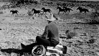 Six Black Horses still 4