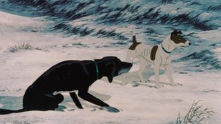 The Plague Dogs still 8