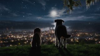 Lady and the Tramp still 1