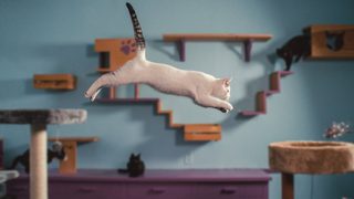 Inside the Mind of a Cat still 3