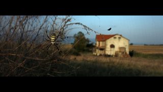 Dark Light still 8