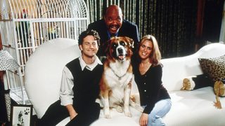 You Lucky Dog still 1