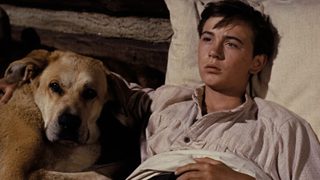 Old Yeller still 2