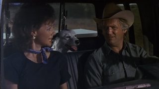 Texasville still 3