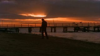 Summerfield still 1
