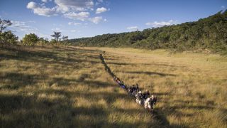 Into the Okavango still 7