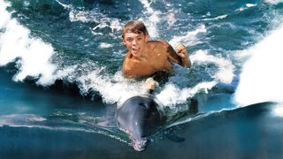 Flipper still 1