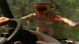 Hammerhead still 3