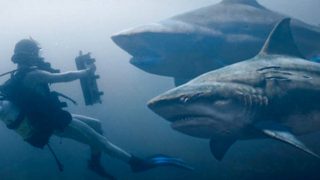 Deep Blue Sea 3 still 4
