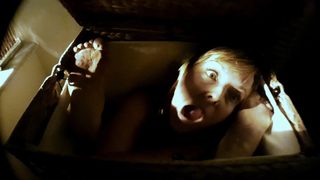 Assimilate still 6