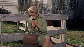 The Birds still 7